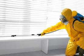 Trusted Clifton Gardens, NY Pest Control Experts